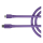 Rode SC19 (Purple) - Kabel USB-C - Lightning 1,5 m (fiolet) - 1244080 - zdjęcie 2